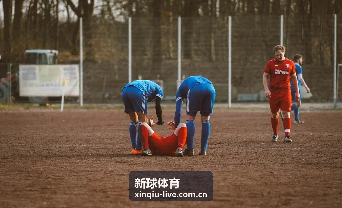 新球体育大屏多路同看